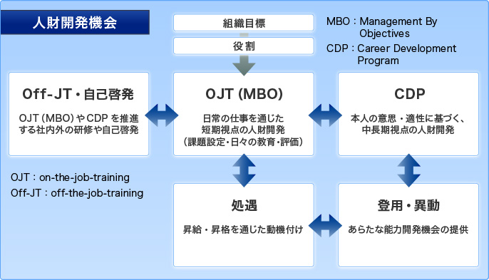 弊社の人財開発は目標によるマネジメントＭＢＯをベースとし、日常の仕事、人事制度、研修、自己啓発などを通じ人財育成を図ります。