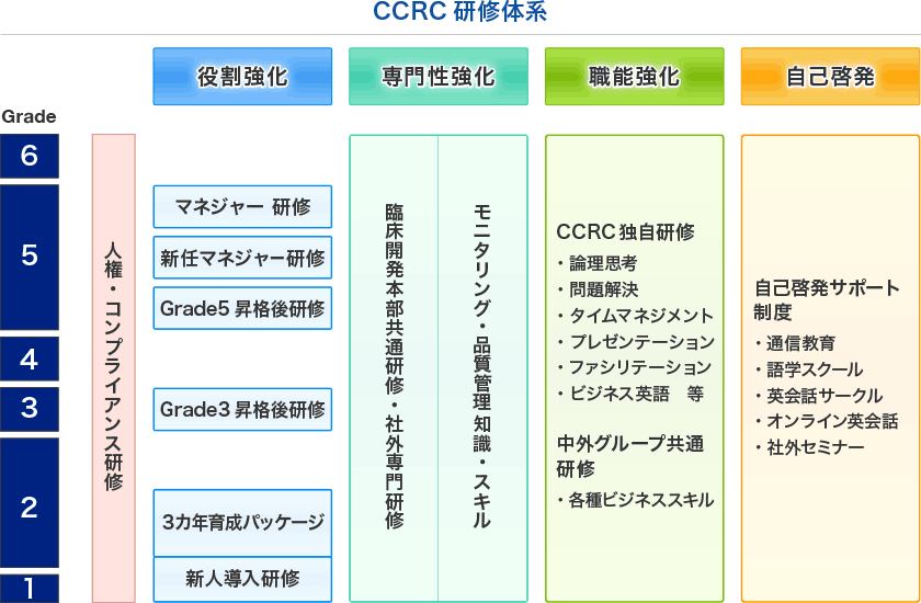 弊社の研修体系は、役割強化研修、職種別の専門知識・スキルを強化する研修、職務遂行の基礎能力を強化する研修、さらに自己啓発サポート制度の４つのカテゴリーから構成されています。各研修はCCRC独自で実施するものに加え、中外製薬が実施する研修もあり充実した内容となっています。